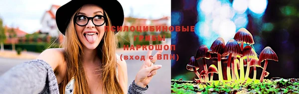 jwh Новозыбков